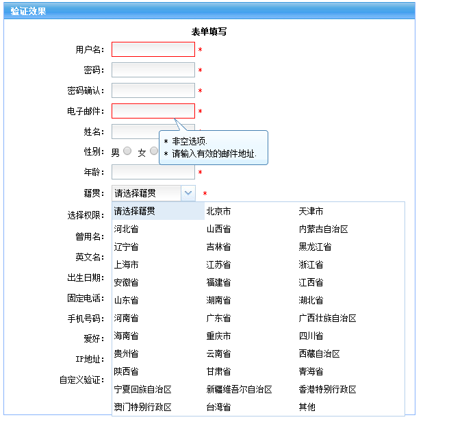 最全的表单验证效果