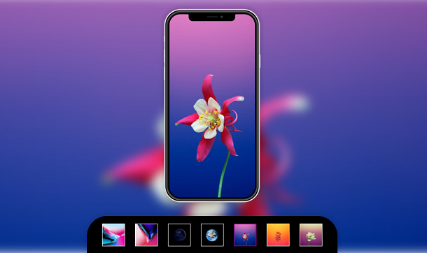 纯CSS3模拟iPhone X背景切换动画