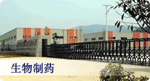 二当家的简洁的房地产集团企业整站模板源码免费下载