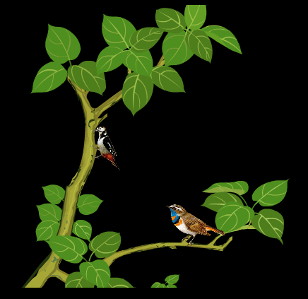 树上停着两只小鸟flash动画素材
