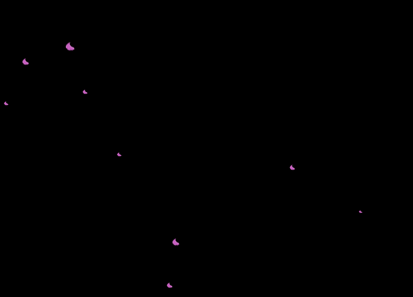 JQuery-花瓣飘落背景特效