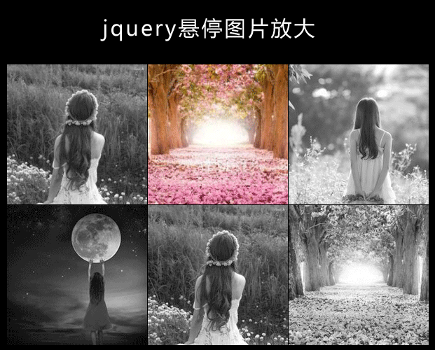 jQuery鼠标悬停图片变色放大显示效果