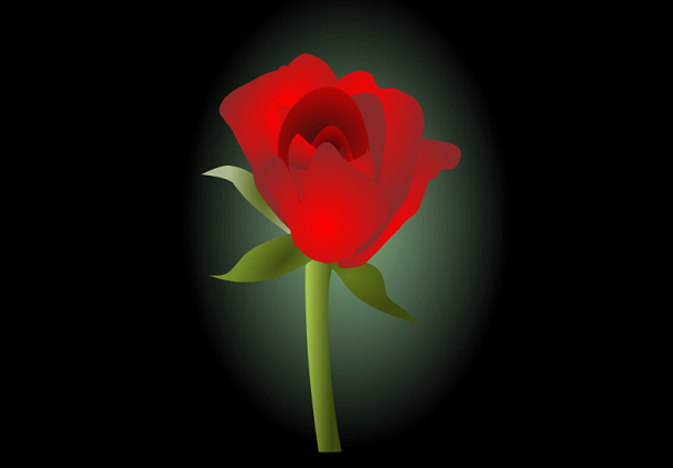 SVG玫瑰花盛开动画