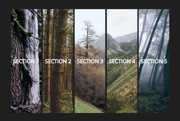 CSS3全屏大气手风琴图片展示插件