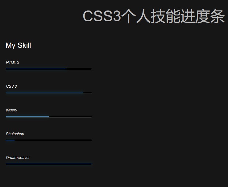 CSS3个人技能进度条