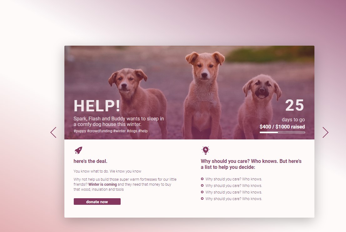 2022最新版HTML5宠物网站焦点图切换特效