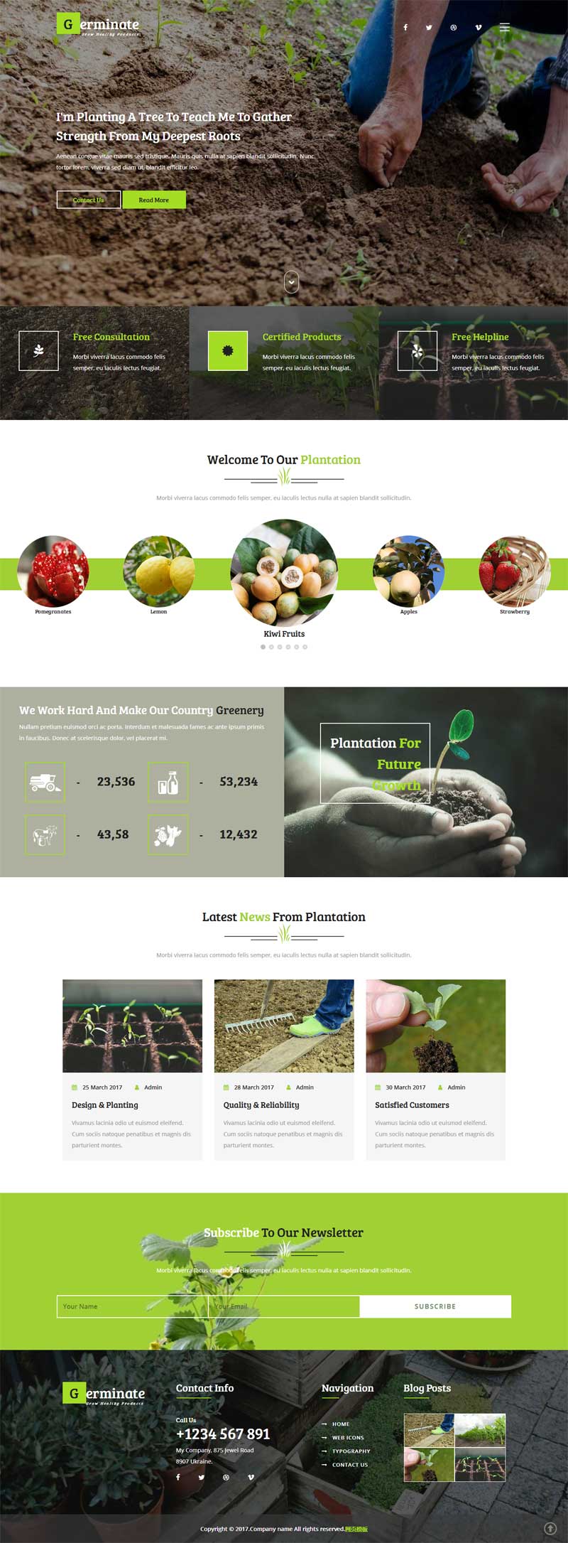 绿色宽屏的蔬菜水果农业种植网站模板下载