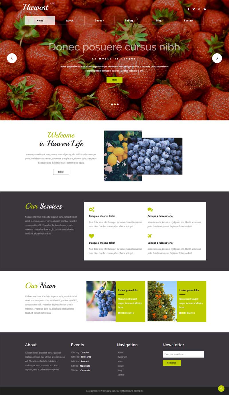宽屏的国外水果种植网站模板html下载