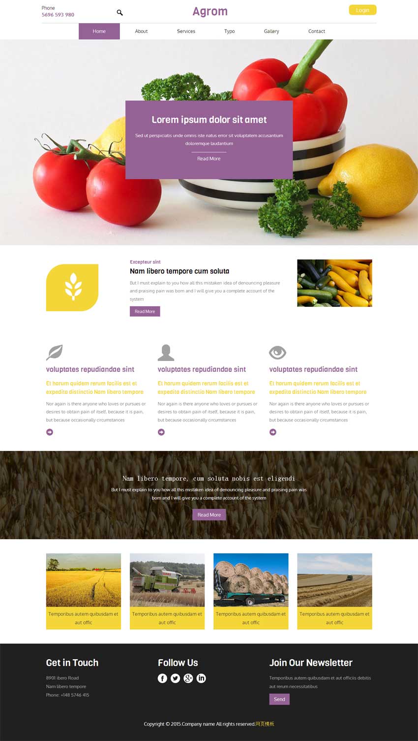国外宽屏的蔬菜种植农业网站模板html下载