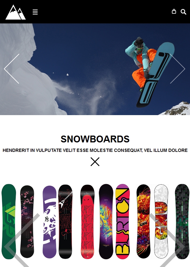 w3layouts+bootstrap滑雪响应式模板